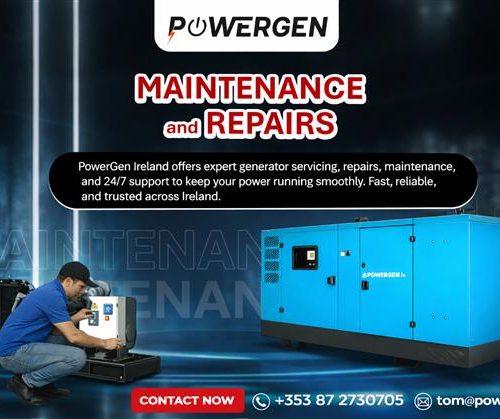 Generator Services in Ireland